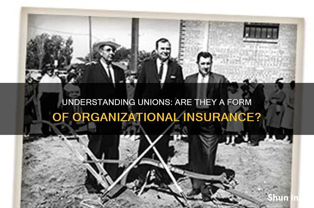 is a union an organization insurance