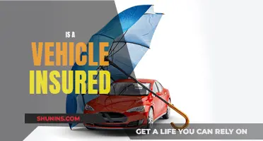 Vehicle Insurance: Am I Covered?