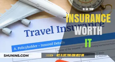 Trip Insurance: Worth the Cost?