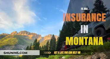 Is AAA Insurance Available in Montana? A Comprehensive Guide