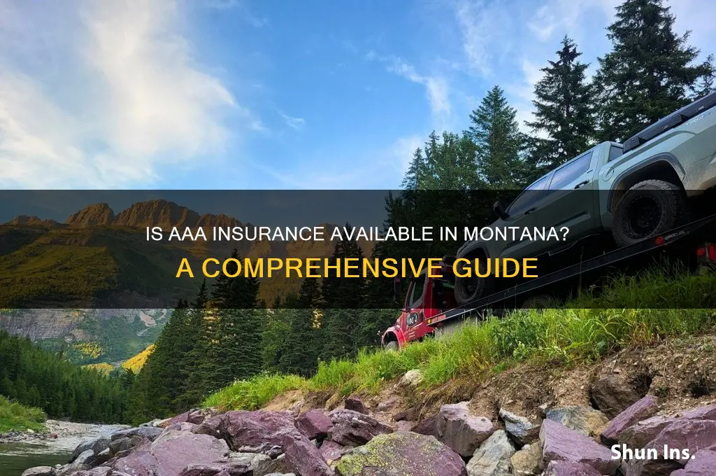 is aaa insurance in montana