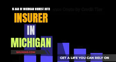 Michigan Auto Insurer: Is AAA the Most Expensive?