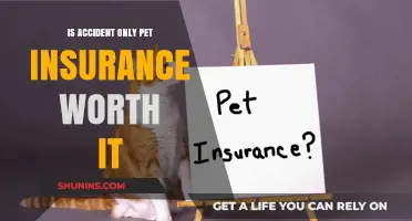Accident-Only Pet Insurance: Worth the Cost?