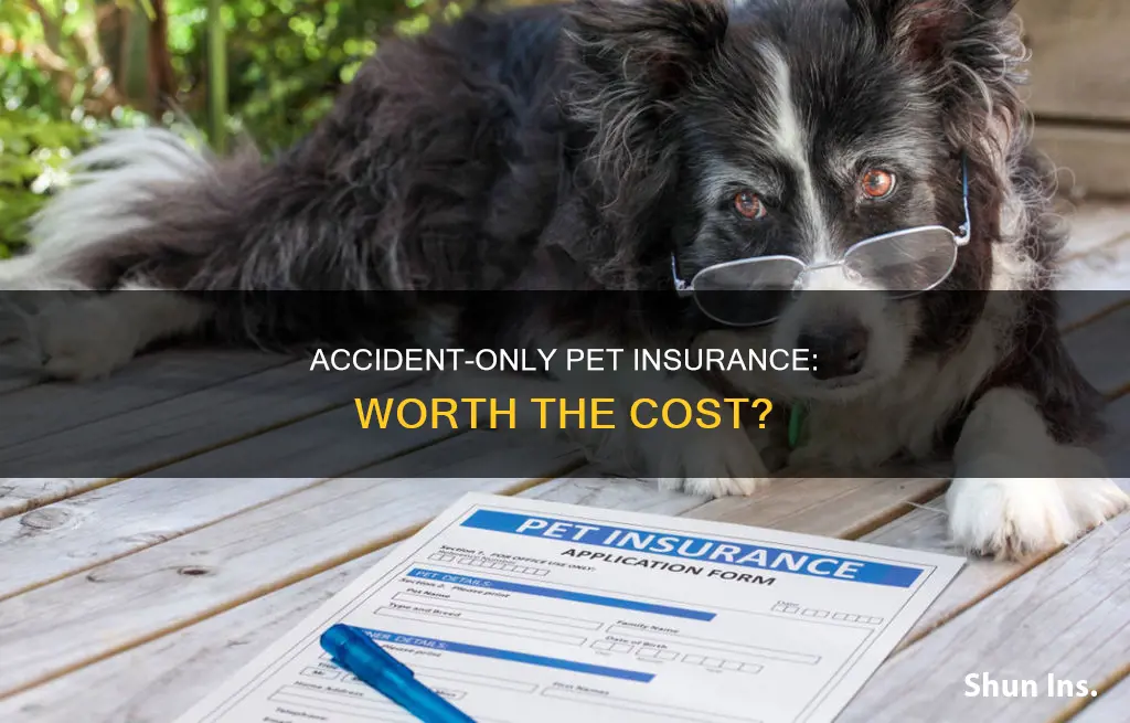 is accident only pet insurance worth it