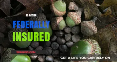 Acorn Accounts: Are They Safe and Federally Insured?