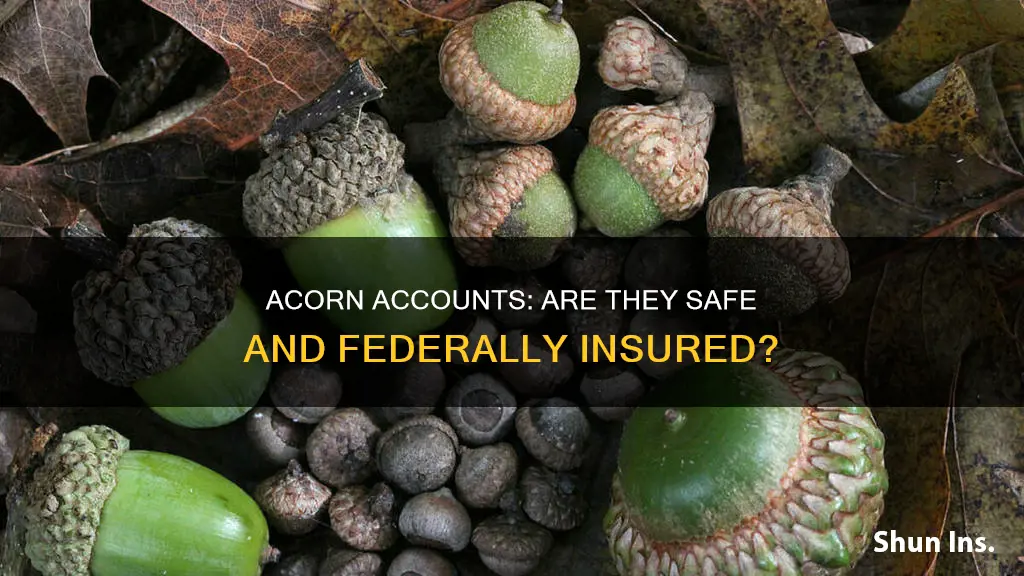 is acorn federally insured