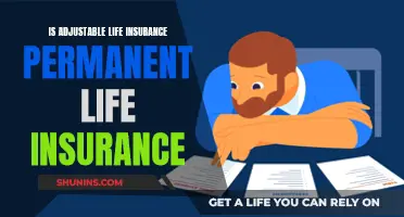 Adjustable Life Insurance: Permanent or Temporary Solution?