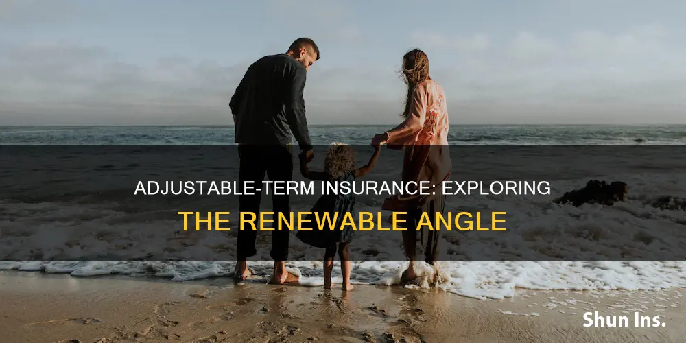 is adjustable term insurance renewable