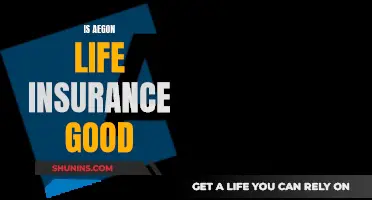 Aegon Life Insurance: Is It Worth Your Money?