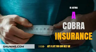 Is Aetna a COBRA Insurance Provider? Understanding Your Coverage Options