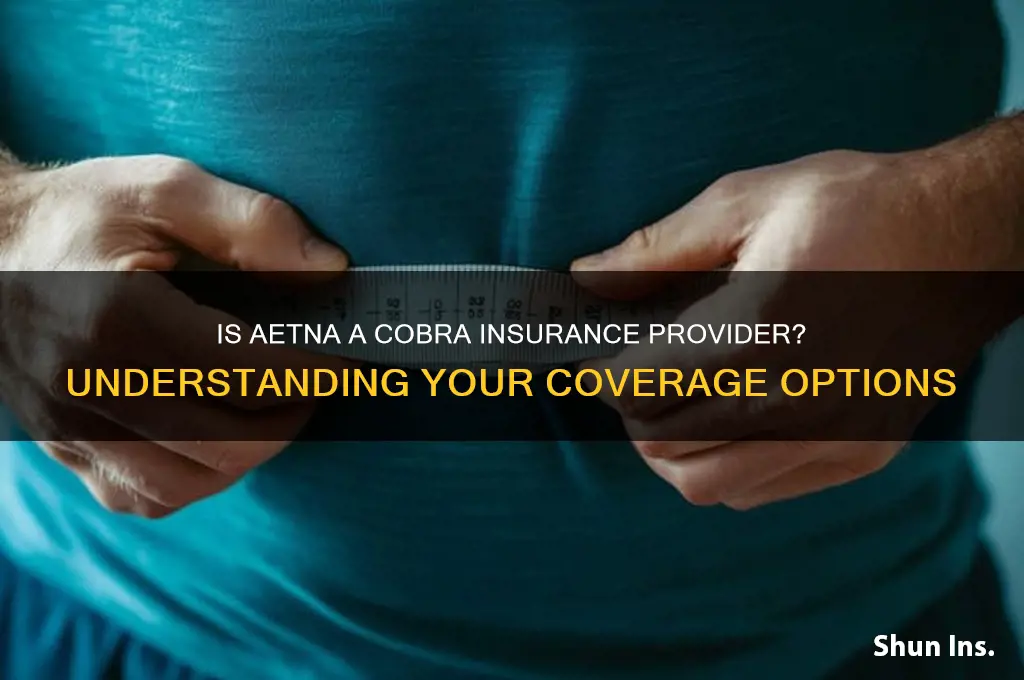 is aetna a cobra insurance