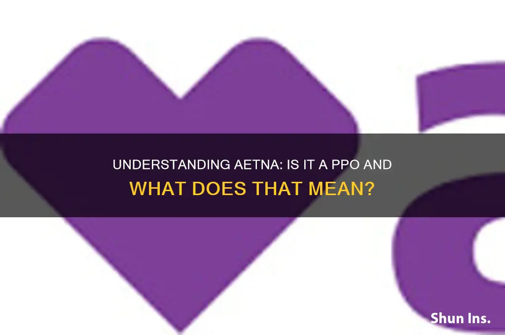 is aetna a ppo