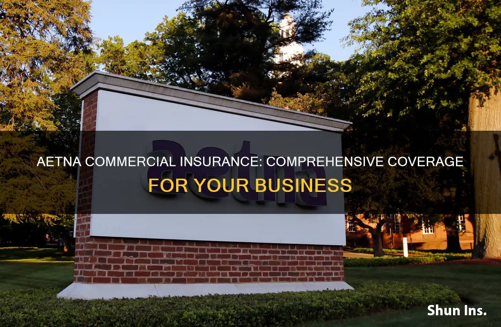 is aetna commercial insurance