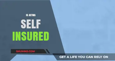 Is Aetna Self-Insured? Understanding Their Health Plan Structure