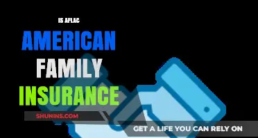 Aflac vs. American Family Insurance: Understanding the Key Differences