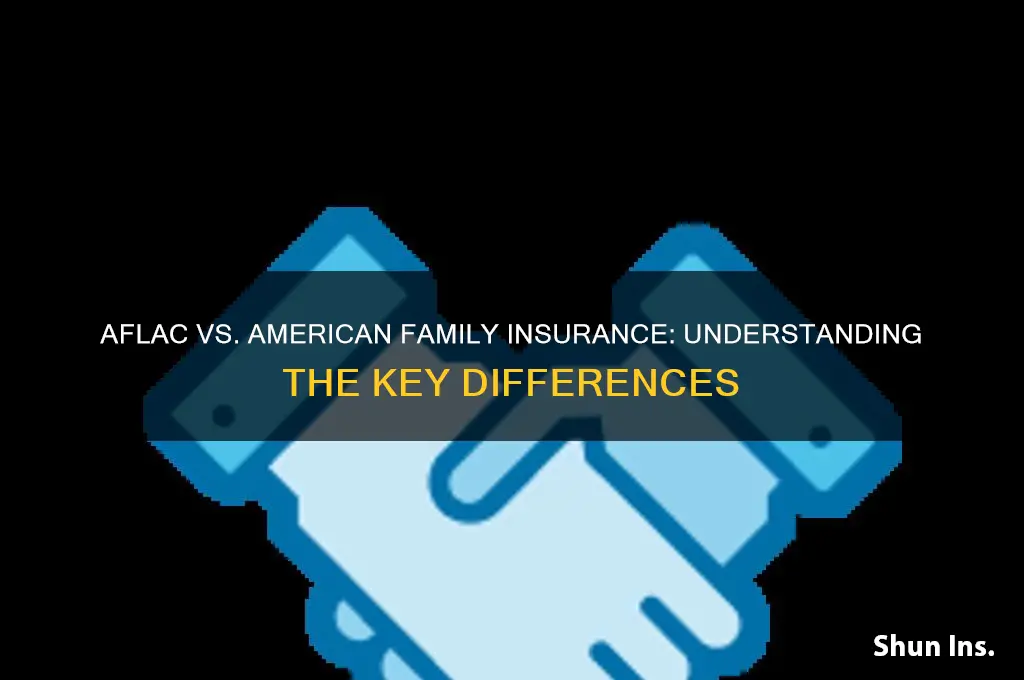 is aflac american family insurance