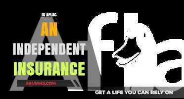 Is Aflac an Independent Insurance Provider? Exploring Its Business Model