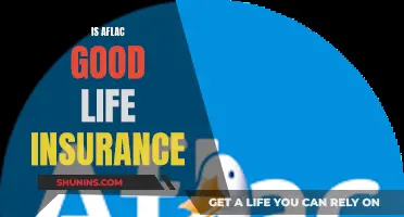 Aflac Life Insurance: Is It Worth the Cost?