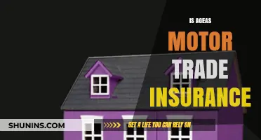 Is Ageas Motor Trade Insurance Right for Your Business?