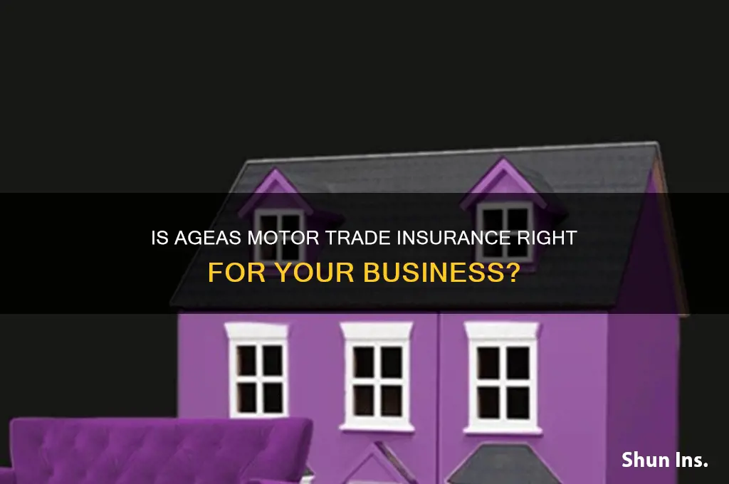 is ageas motor trade insurance