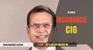 Understanding Ageas Insurance: Coverage, Benefits, and Customer Insights