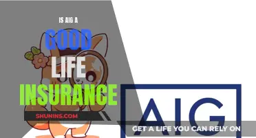 AIG Life Insurance: Is It a Smart Choice?