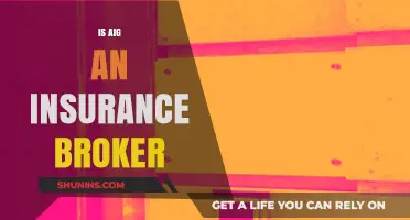 Is AIG an Insurance Broker? Understanding Its Role in the Industry