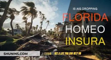 AIG's Exit: Florida Homeowner Insurance Crisis