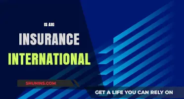 Is AIG Insurance International? Exploring Global Coverage and Services