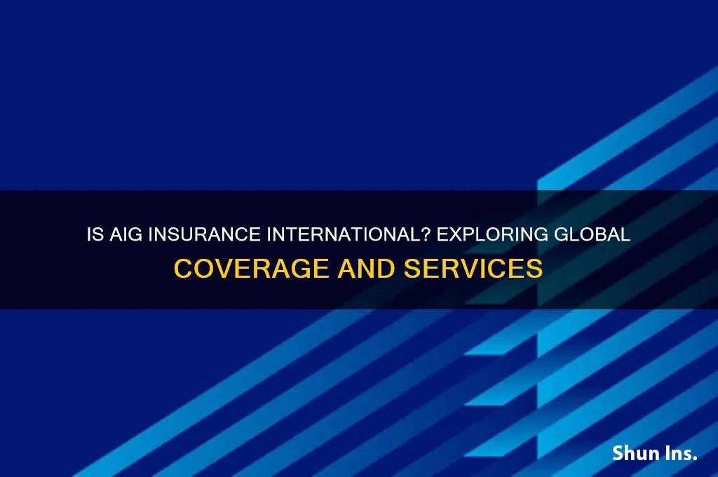 is aig insurance international