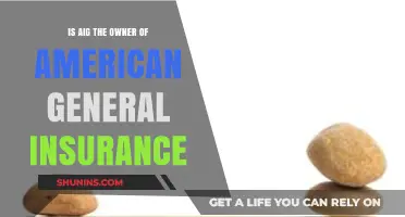 Is AIG the Owner of American General Insurance?