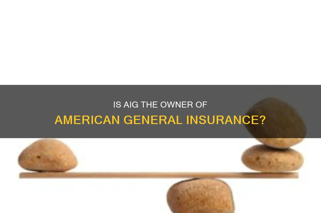 is aig the owner of american general insurance