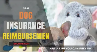 Is AKC Dog Insurance Reimbursement Worth It? A Detailed Review