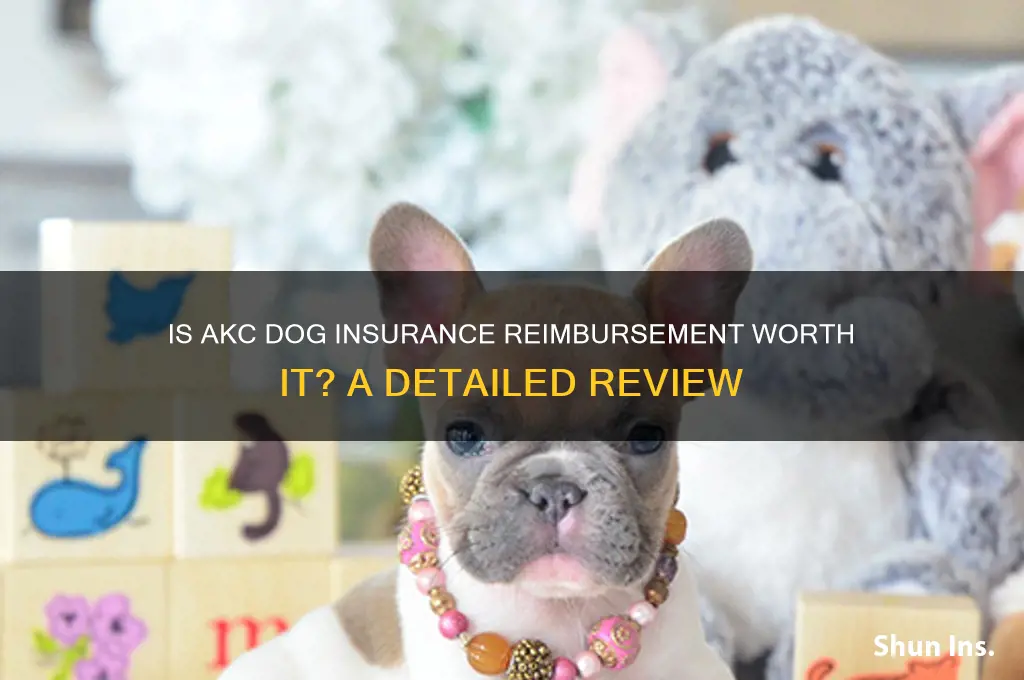 is akc dog insurance reimbursement