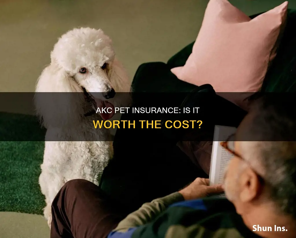 is akc pet insurance worth it