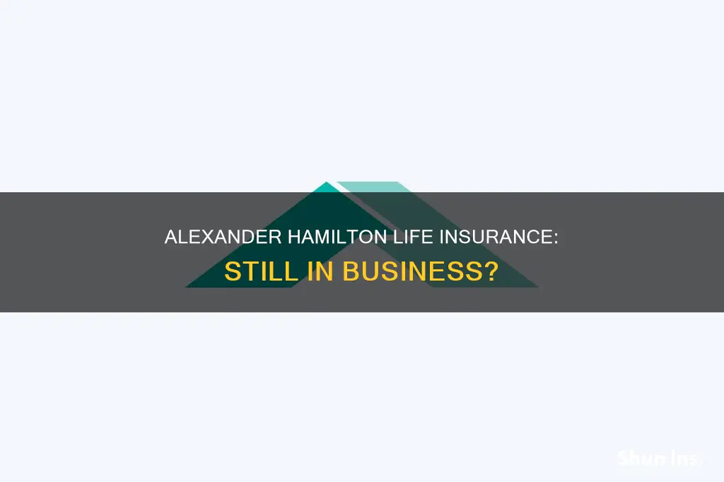 is alexander hamilton life insurance still in business