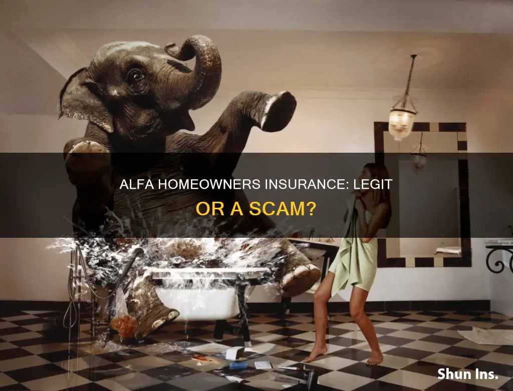 is alfa homeowners insurance legit