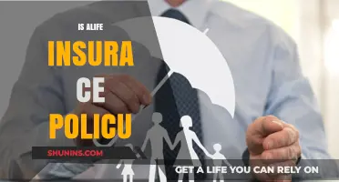 Understanding Alife Insurance Policies: Benefits, Coverage, and Key Considerations