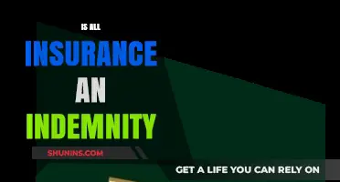 Is All Insurance Truly Indemnity? Exploring the Legal and Financial Aspects