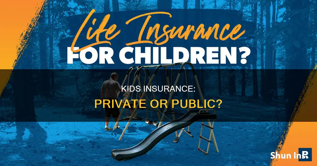 is all kids insurance private insurance