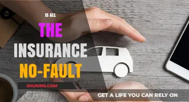 Understanding No-Fault Insurance: Is It Always the Standard?