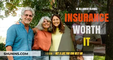 Alliance Global Insurance: Is It Worth the Cost?