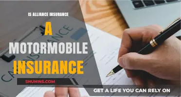 Is Alliance Insurance a Motor Vehicle Insurance Provider?