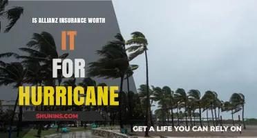 Allianz Insurance: Hurricane Hero or Zero?