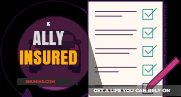 Is Ally Insured? Understanding Coverage and Protection for Your Assets