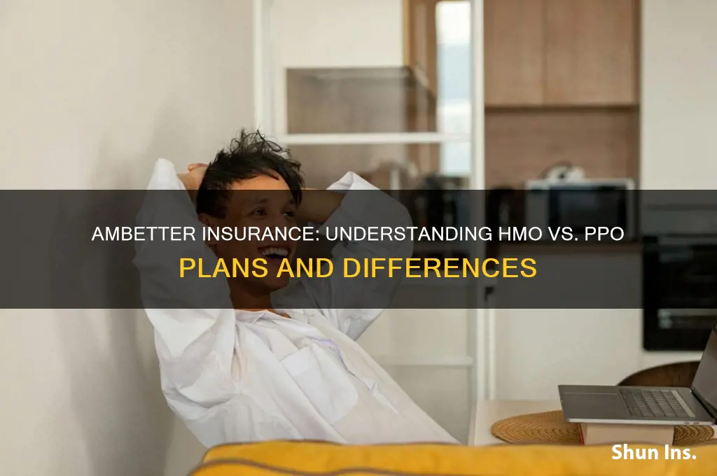is ambetter insurance hmo or ppo