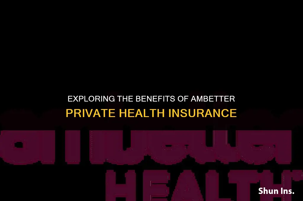 is ambetter private health insurance