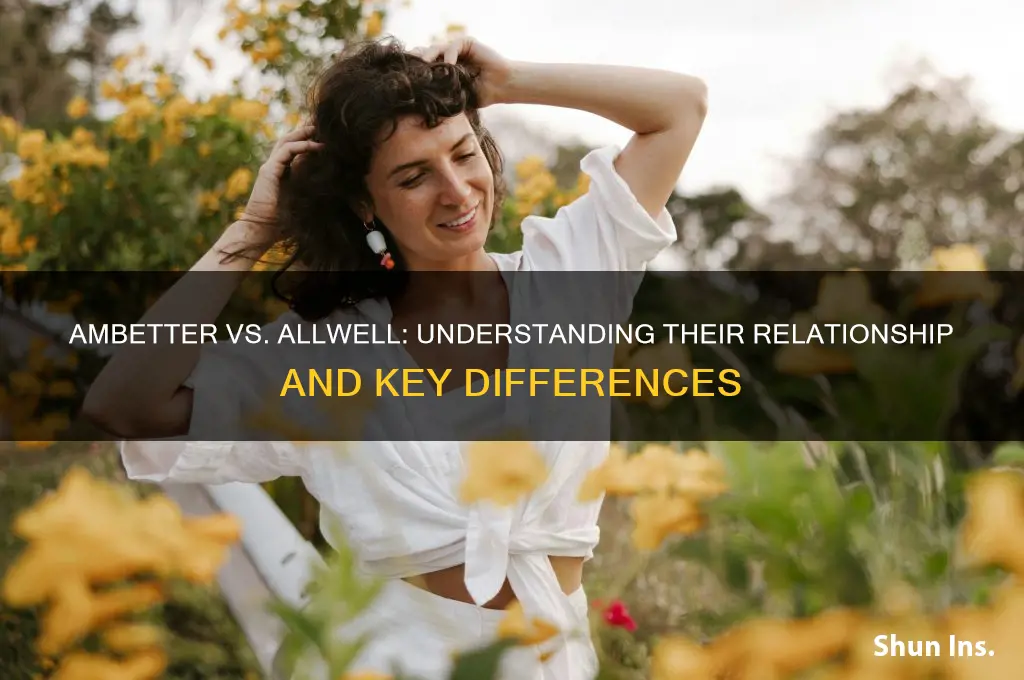 is ambetter related to allwelll insurance