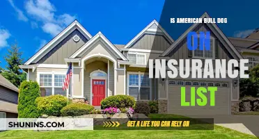Is Your American Bulldog Covered? Insurance List Explained
