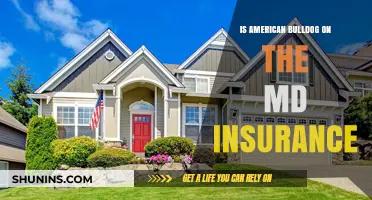 Is Your American Bulldog Covered by Maryland Insurance Policies?